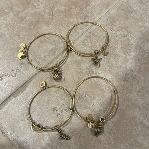 Alex an Ani Beach Set